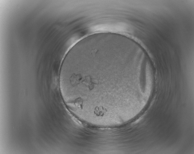 X0000063521529200602101938