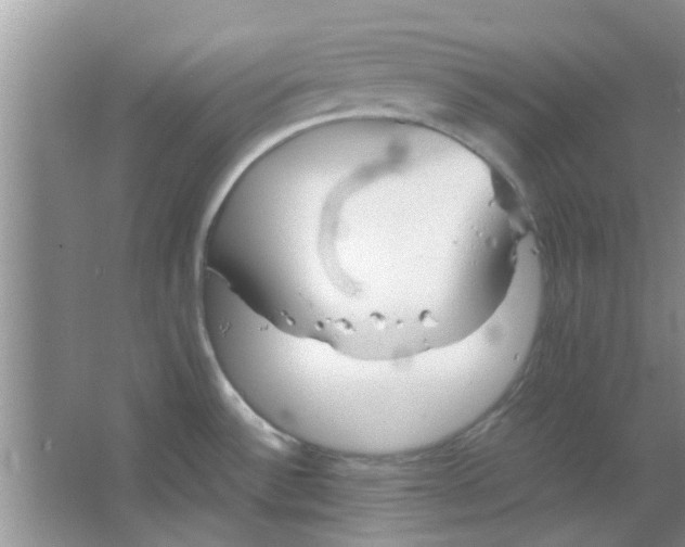 X0000063521532200602101938