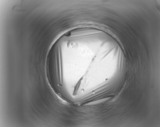 X0000063521533200602101938