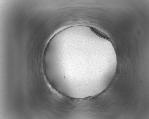 X0000063521534200602101938