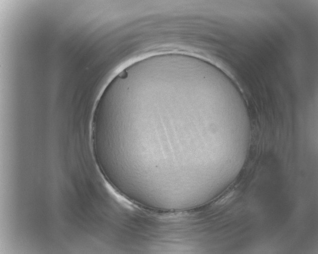 X0000063521535200602101938