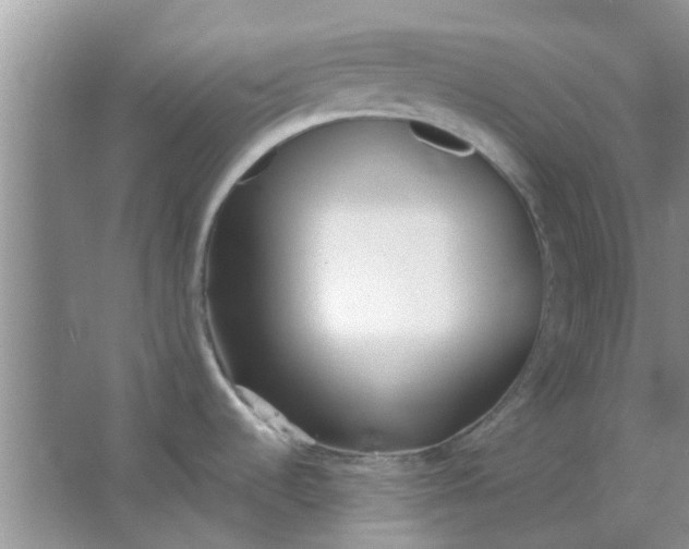 X0000063521536200602101938