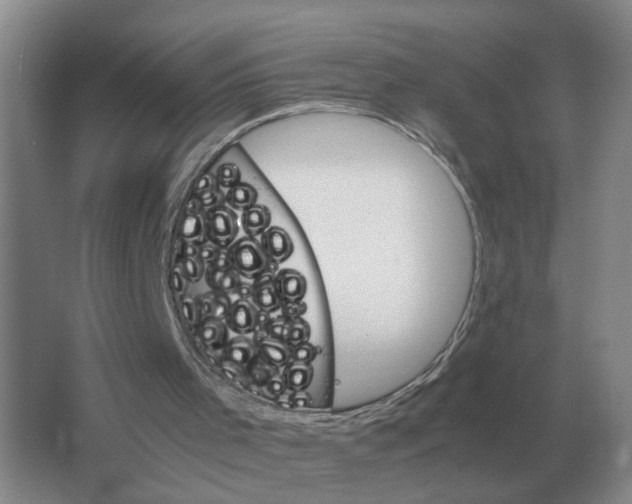 X0000063520001200602172227