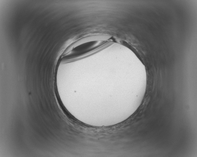 X0000063520003200602172227