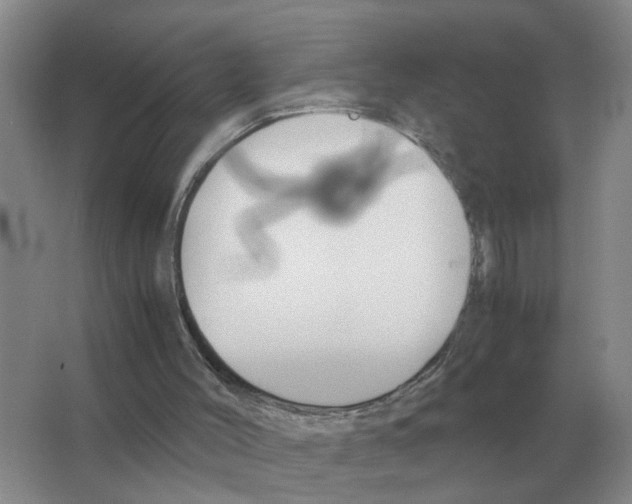 X0000063520004200602172227