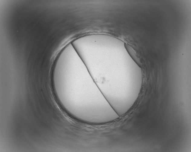 X0000063520005200602172227