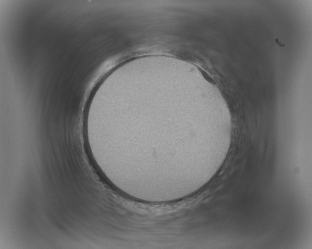 X0000063520006200602172227