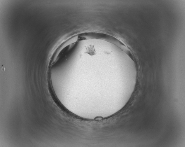 X0000063520007200602172227