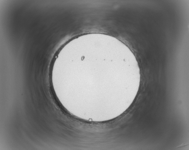 X0000063520008200602172227