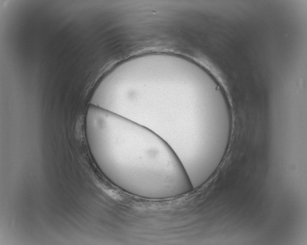 X0000063520009200602172227