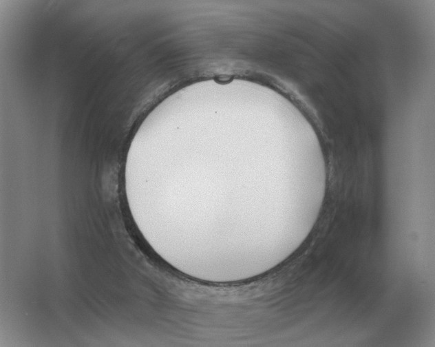 X0000063520010200602172227