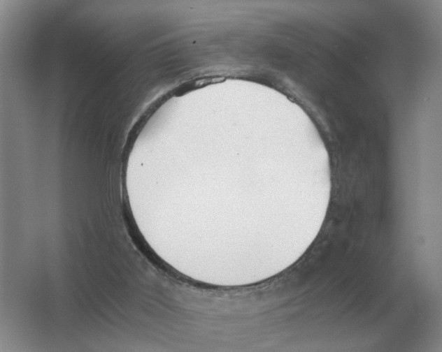 X0000063520011200602172227