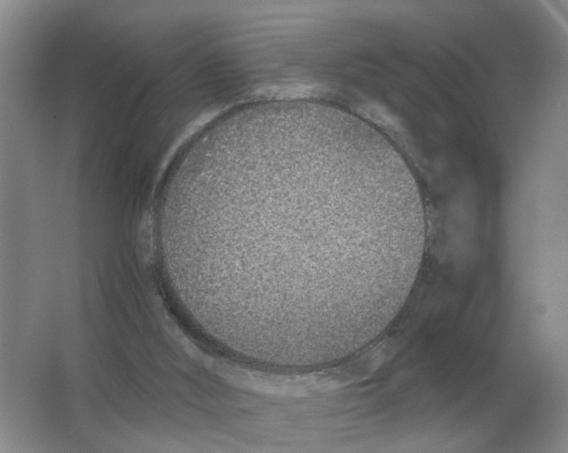 X0000063520012200602172227