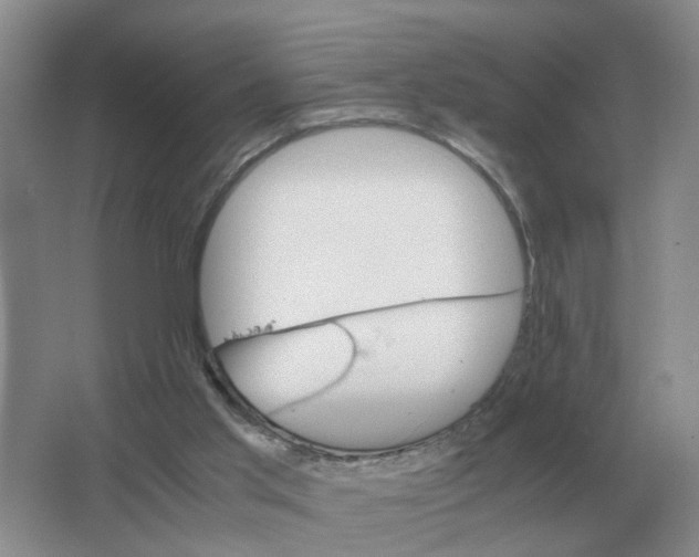 X0000063520013200602172227