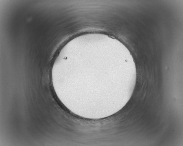 X0000063520015200602172227