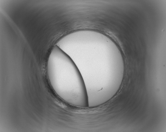 X0000063520017200602172227