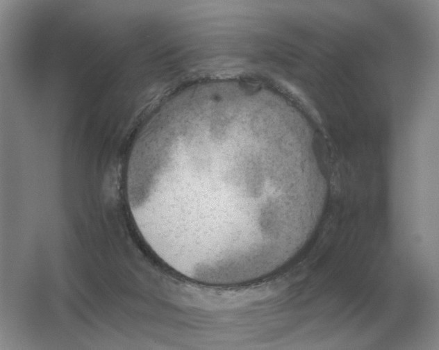 X0000063520018200602172227