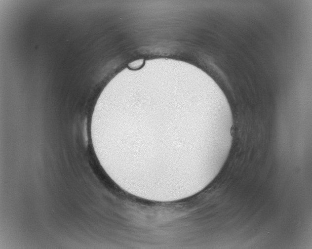 X0000063520020200602172227