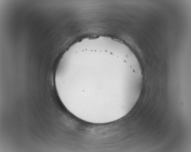 X0000063520021200602172227