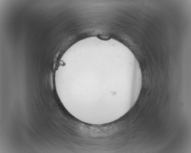 X0000063520022200602172227