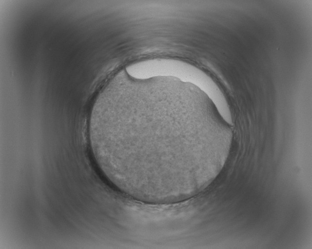 X0000063520023200602172227