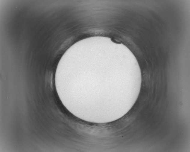 X0000063520024200602172227