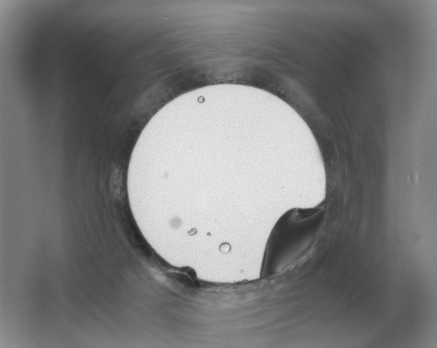 X0000063520025200602172227