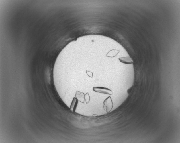 X0000063520026200602172227