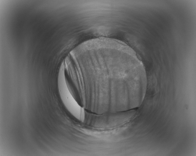 X0000063520027200602172227