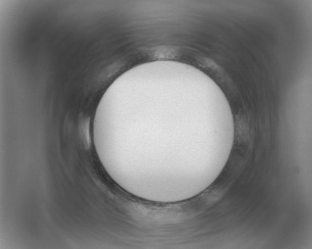 X0000063520028200602172227