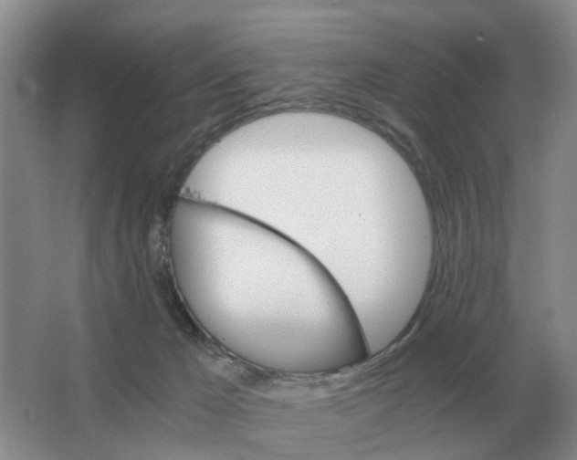 X0000063520029200602172227