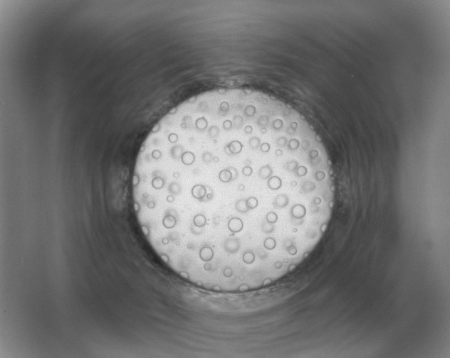 X0000063520030200602172227