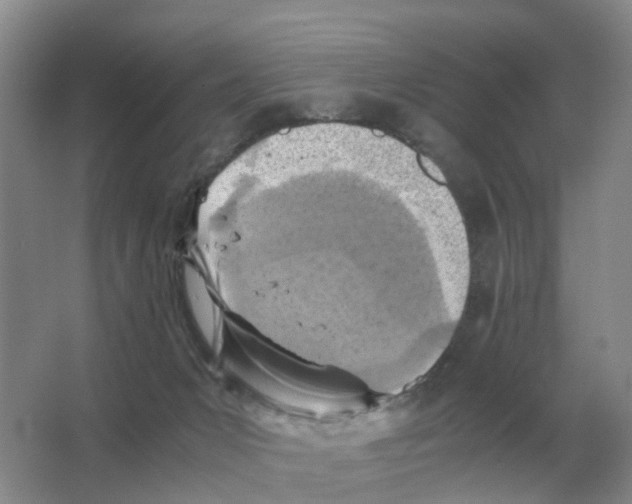 X0000063520031200602172227