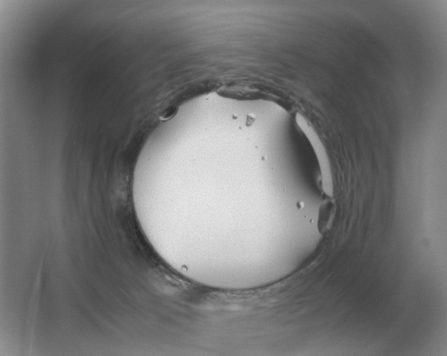 X0000063520033200602172227