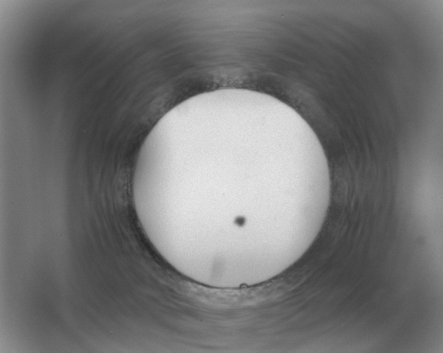 X0000063520034200602172227