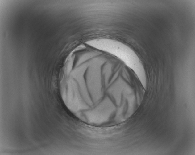 X0000063520035200602172227