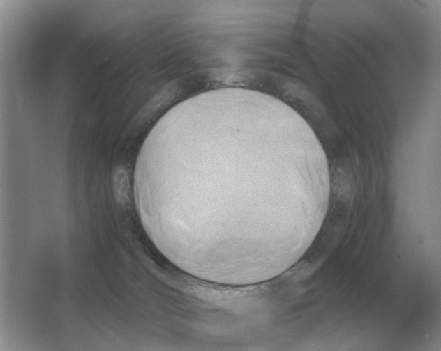 X0000063520036200602172227