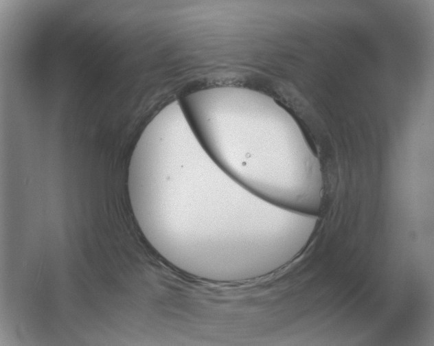 X0000063520041200602172226