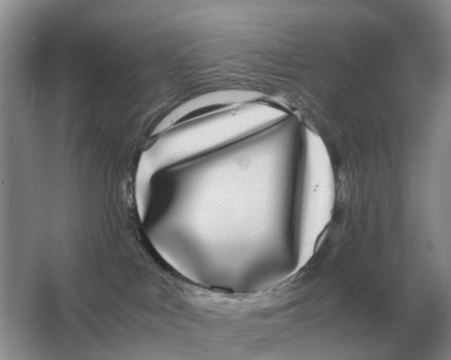 X0000063520043200602172226