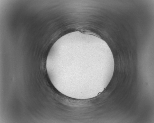 X0000063520044200602172226