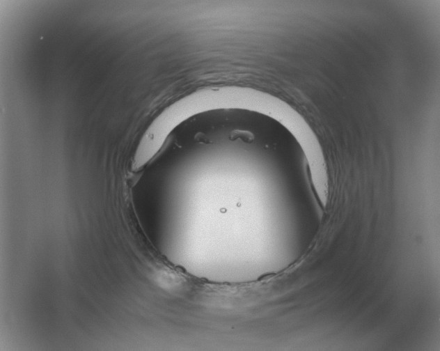 X0000063520045200602172226