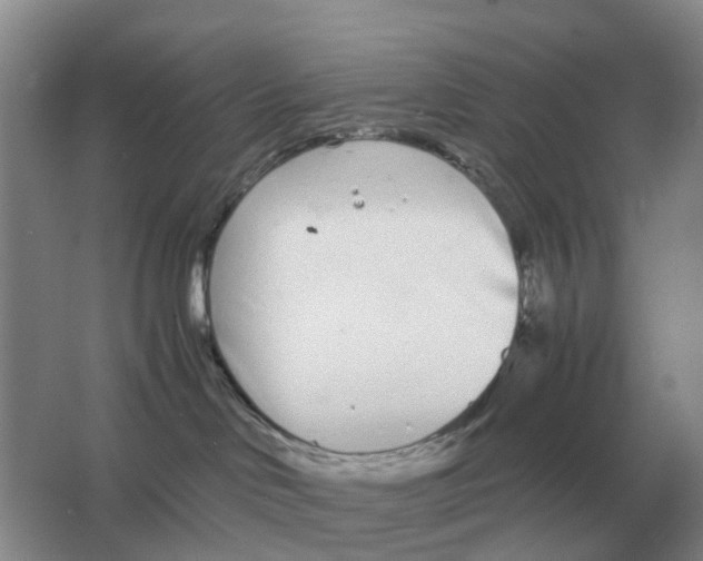 X0000063520046200602172226