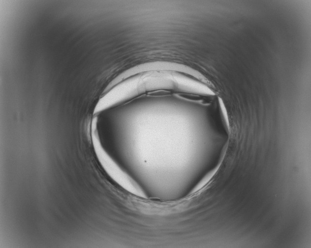 X0000063520047200602172226