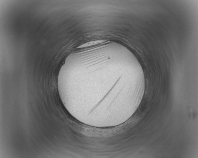 X0000063520048200602172226