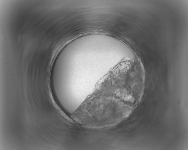 X0000063520049200602172225