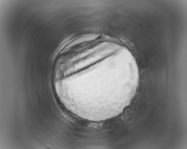 X0000063520051200602172226