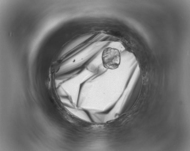 X0000063520052200602172226