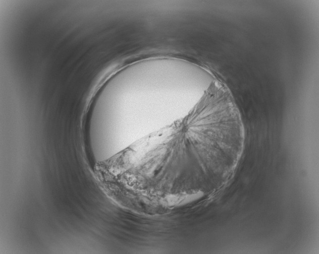 X0000063520053200602172226