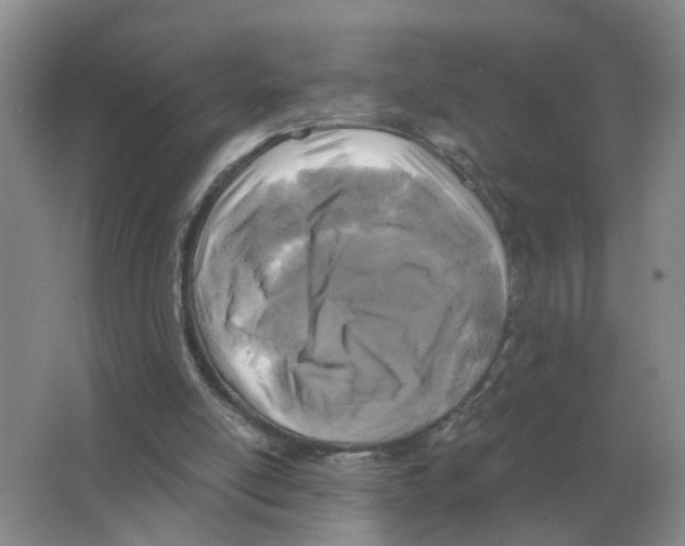 X0000063520054200602172226