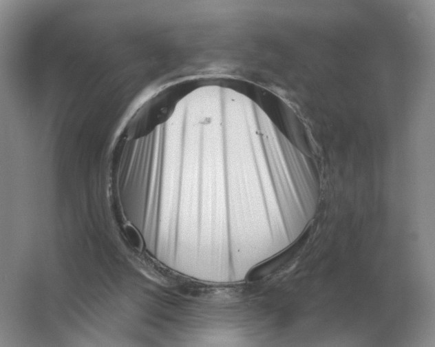 X0000063520056200602172226